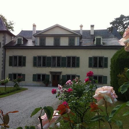 Chateau De Veigy Hotel Exterior photo